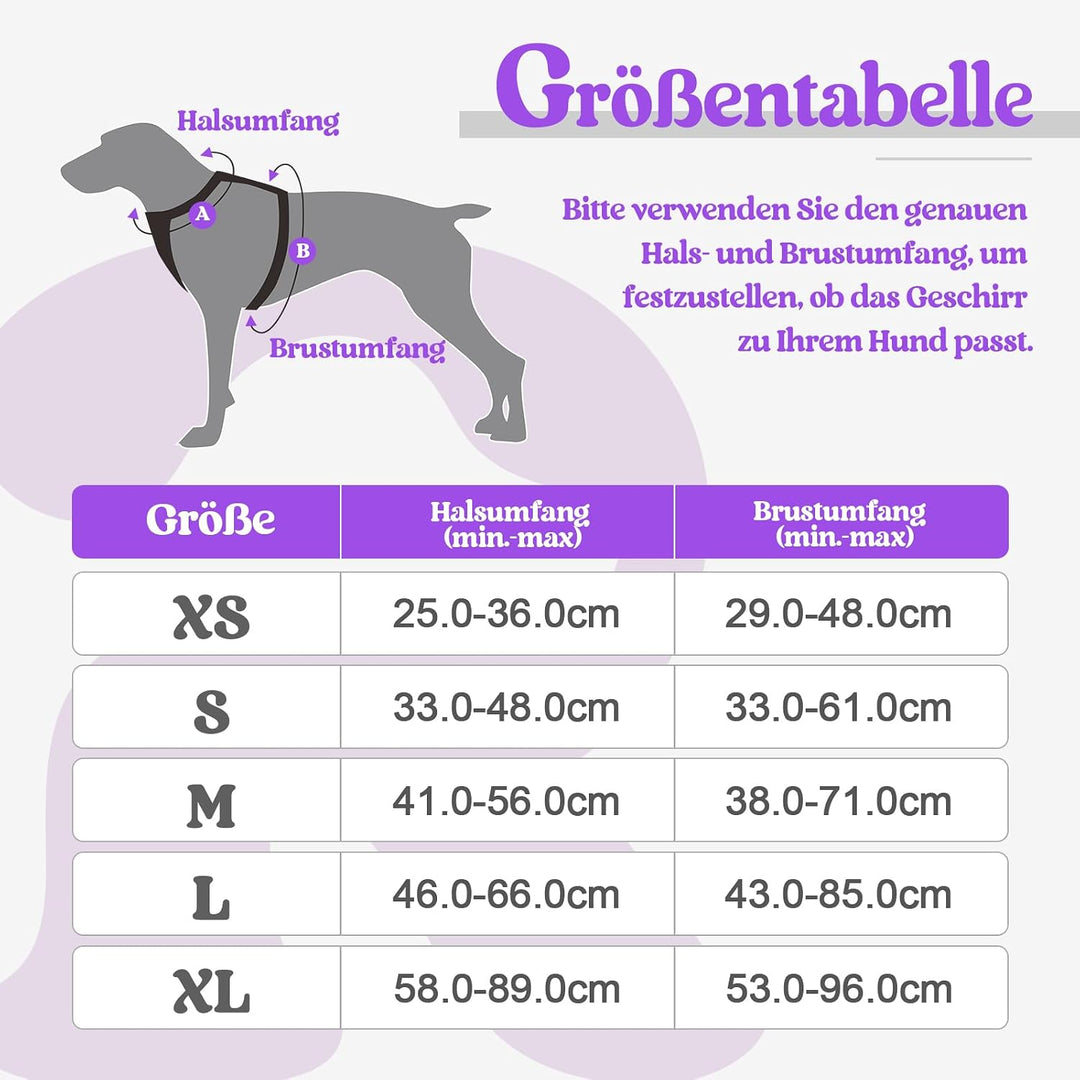 rabbitgoo Hundegeschirr Kleine Hunde, Anti Zug Geschirr mit Kontrolle, No Pull Verstellbar Hundegesc
