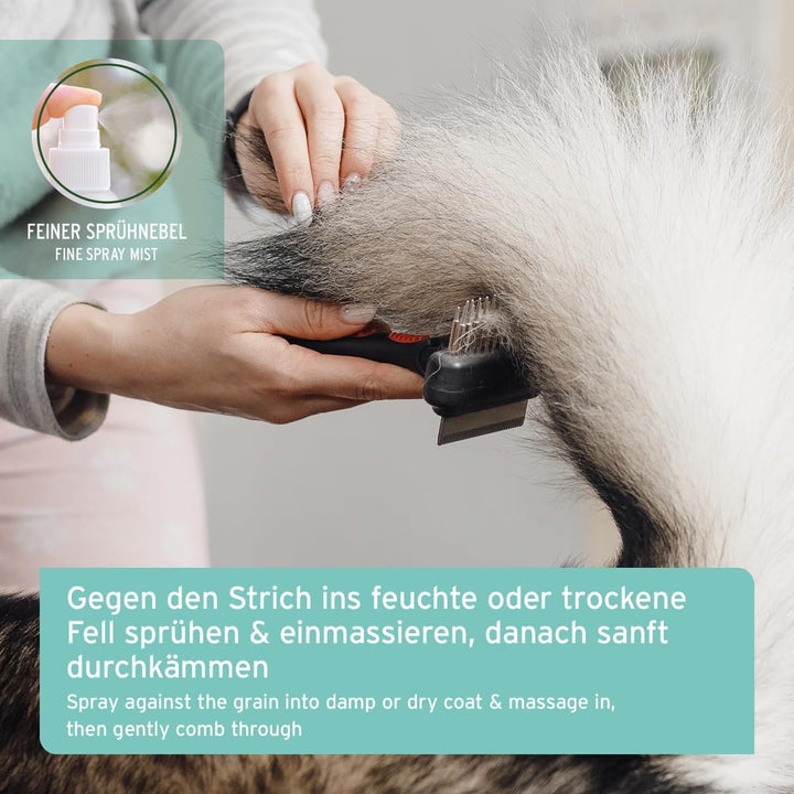 AniForte Fellharmonie Pflegespray Sensitive 200ml – Sanfte Fellpflege für Hunde &amp; Katzen, Entwirrung