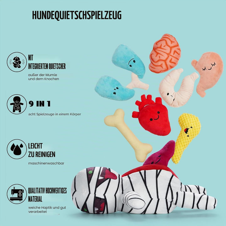 Nocciola Lustiges Plüsch-Hundespielzeug: 9-in-1 Kauspielzeug für kleine, mittelgrosse Hunde mit stra