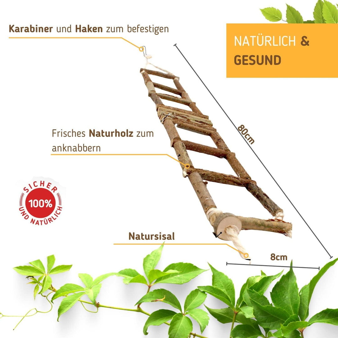 Herrlicher Vogelspielplatz aus Naturholz. EIN Kletterspielplatz mit vielen Sitzstangen und Futternap