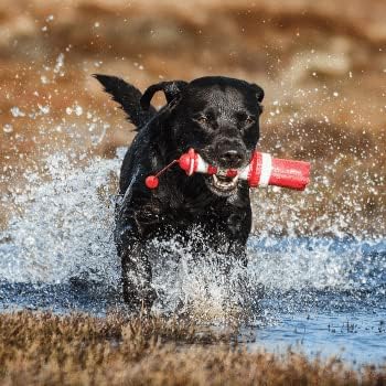 Rogz Leuchtturm Floating Hundespielzeug