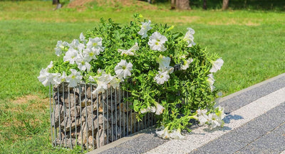 KADAX Gabionen-Pflanzkorb, rechteckiger Pflanzkübel, Gabione aus verzinktem Stahl, Steinkorb, Blumen