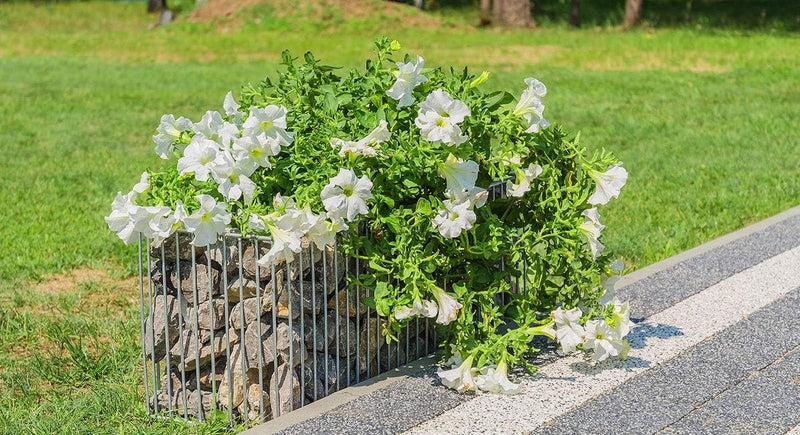 KADAX Gabionen-Pflanzkorb, rechteckiger Pflanzkübel, Gabione aus verzinktem Stahl, Steinkorb, Blumen