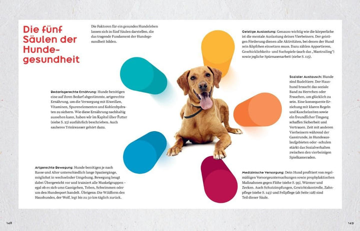 Oh Happy Dog!: Alles für ein glückliches, gesundes und nachhaltiges Hundeleben, Gebundenes Buch