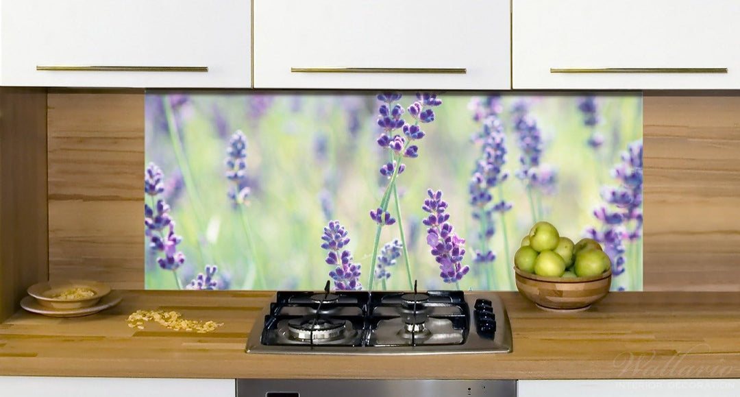 Wallario Küchen-Rückwand | Küchenspiegel Lila Blumenfreude - Violette Pflanzen auf der Wiese in Prem
