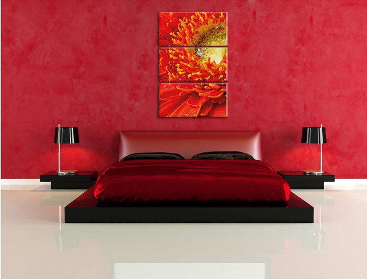 Pixxprint Gerbera Sonne Gras Blumen / 3-Teilig/Gesamtmass 120cm Leinwandbild bespannt auf Holzrahmen