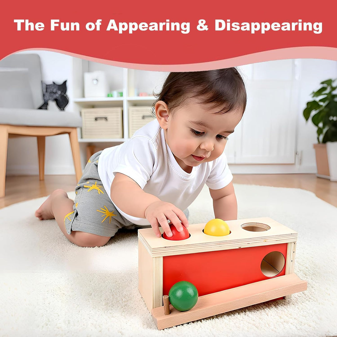 Montessori Spielzeug ab 1 Jahr, Baby Holzspielzeug ab 9 Monate, Objektpermanenz Box für Baby 12-18 M