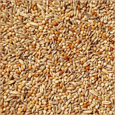 SUPRAVIT Wellensittichfutter Zucht 25kg I schmackhafte Wellensittich - Zuchtmischung mit wertvollen