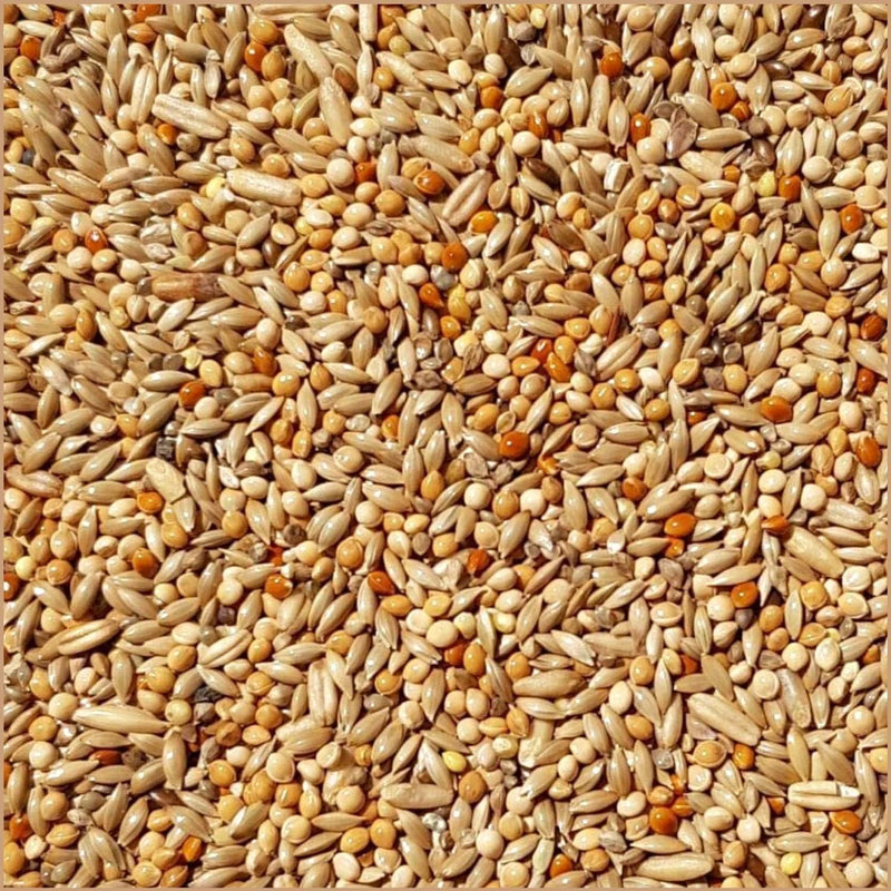 SUPRAVIT Wellensittichfutter Zucht 25kg I schmackhafte Wellensittich - Zuchtmischung mit wertvollen