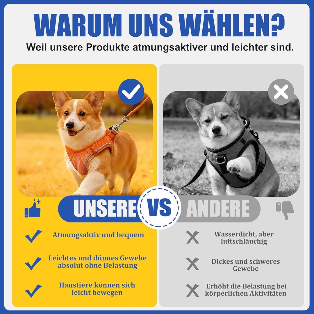 Hundegeschirr Mit Leine, Verstellbares Welpengeschirr Katzengeschirr, Reflektierendes Hundegeschirr