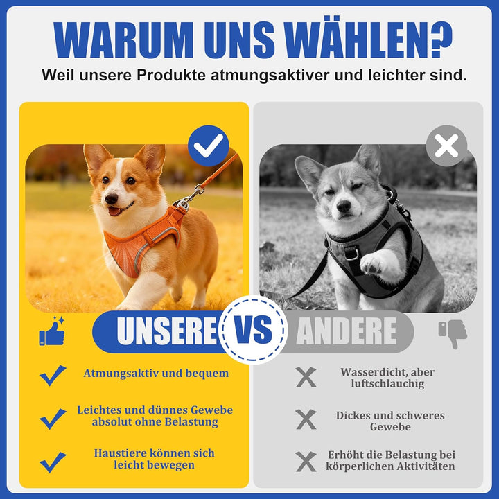 Hundegeschirr Mit Leine, Verstellbares Welpengeschirr Katzengeschirr, Reflektierendes Hundegeschirr