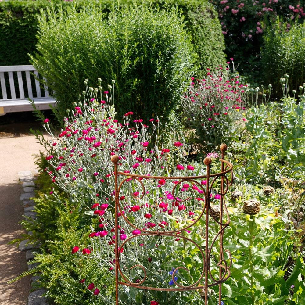 ecosoul Rankgitter Rankhilfe Staudenhalter Strauchhalter halbrund Rankgerüst Metall Eisen Rost Deko