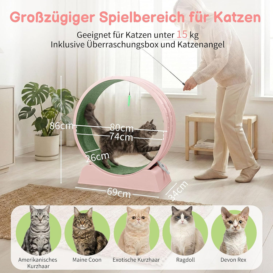 LEADZM Katzenlaufrad 80cm Durchmesser - Laufrad Katze aus Kunststoff, Inklusive Teppich und Katzensp