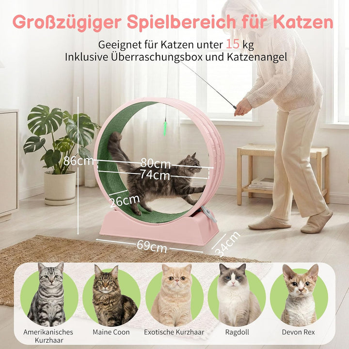 LEADZM Katzenlaufrad 80cm Durchmesser - Laufrad Katze aus Kunststoff, Inklusive Teppich und Katzensp