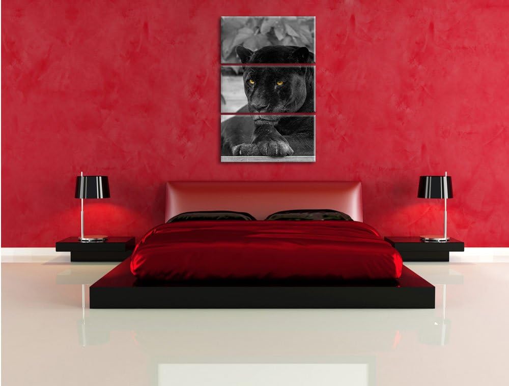 Pixxprint schwarzer Panther als Leinwandbild/Grösse: 3 Teilig (120x80) cm/Wandbild/Kunstdruck/fertig
