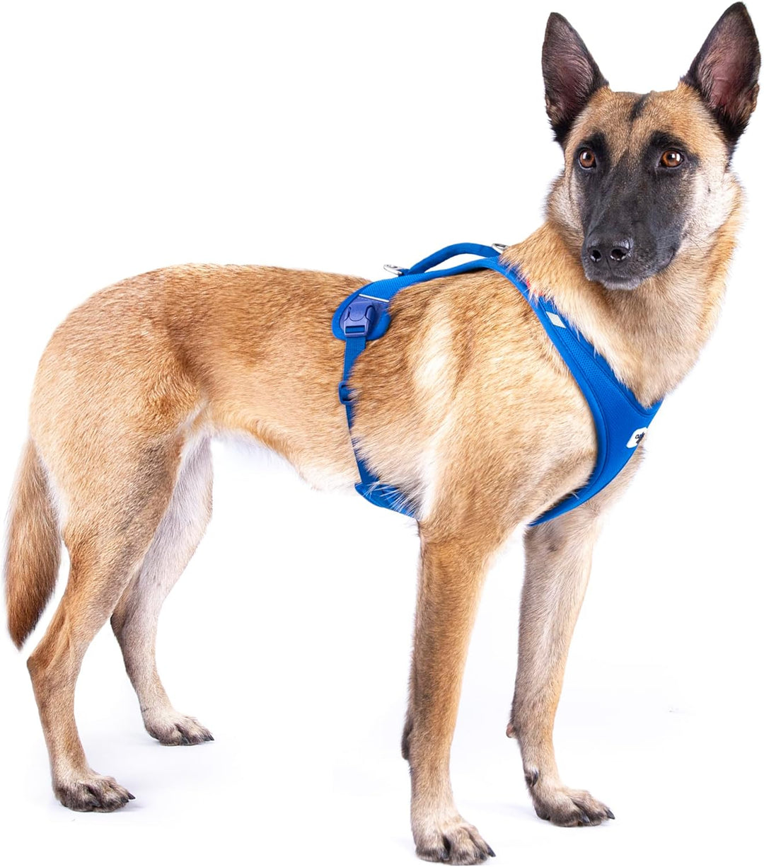 Belka Harness Air-Mesh Blue 4XL 4XL Blue, 4XL Blue