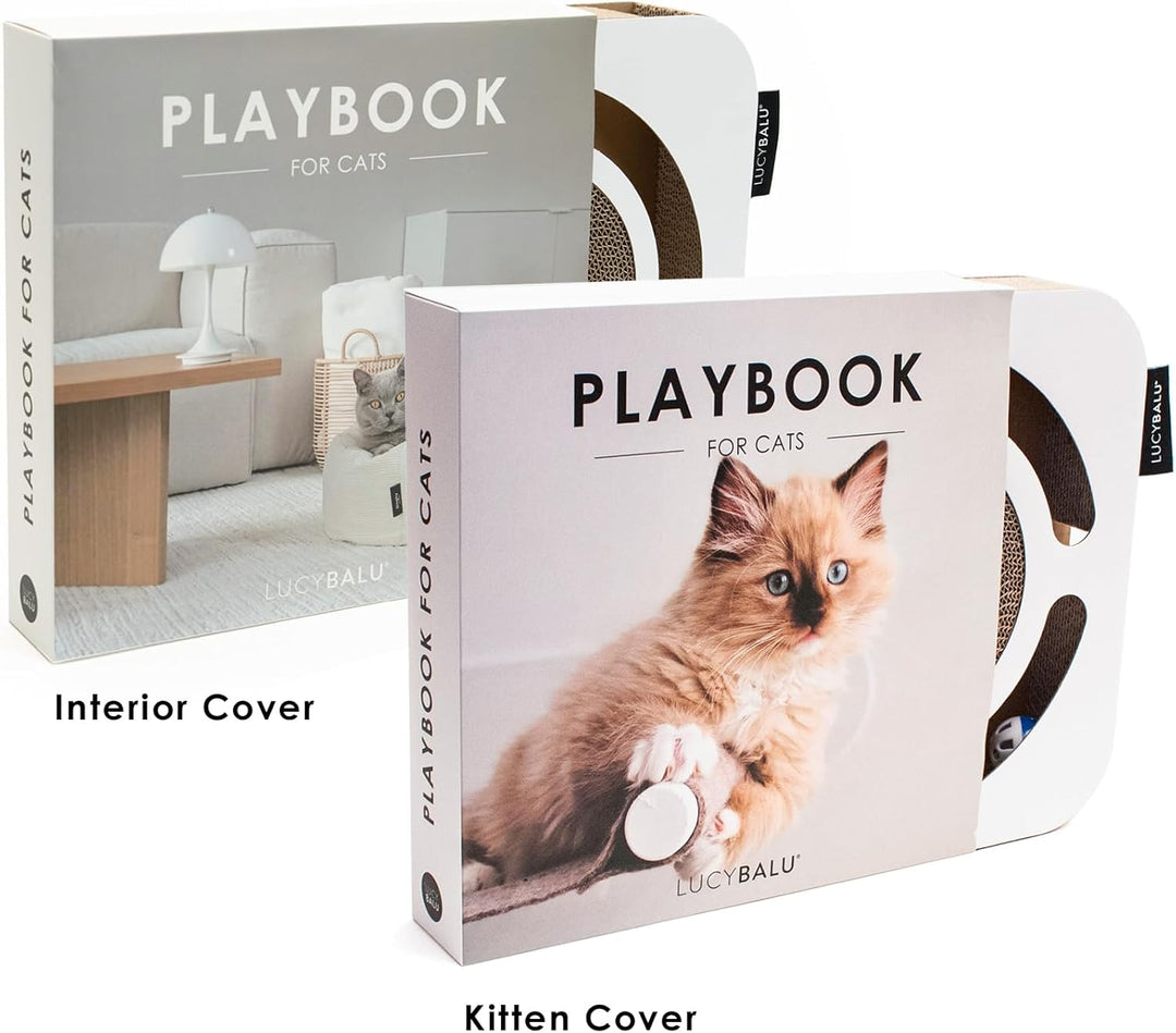 LucyBalu® Playbook Katzen Kratzbrett mit Ball | Fummelbrett | Katzenspielsachen aus Kratzpappe | Int