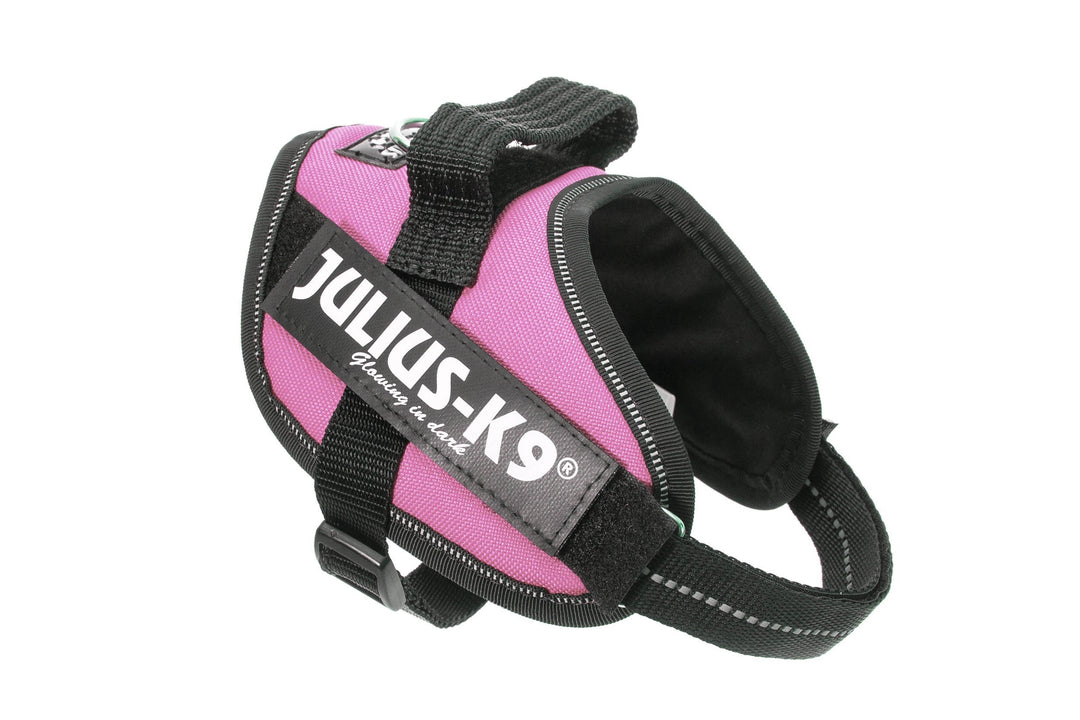 Julius-K9, IDC Powergeschirr, Grösse: S / Mini, Pink Pink S / Mini, Pink S / Mini