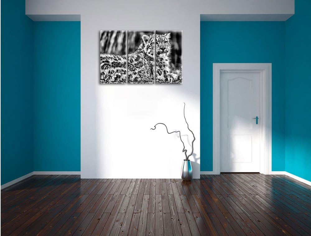 Pixxprint Monocrome, anmutiger Schneeleopard 3-Teiler Leinwandbild 120x80 Bild auf Leinwand