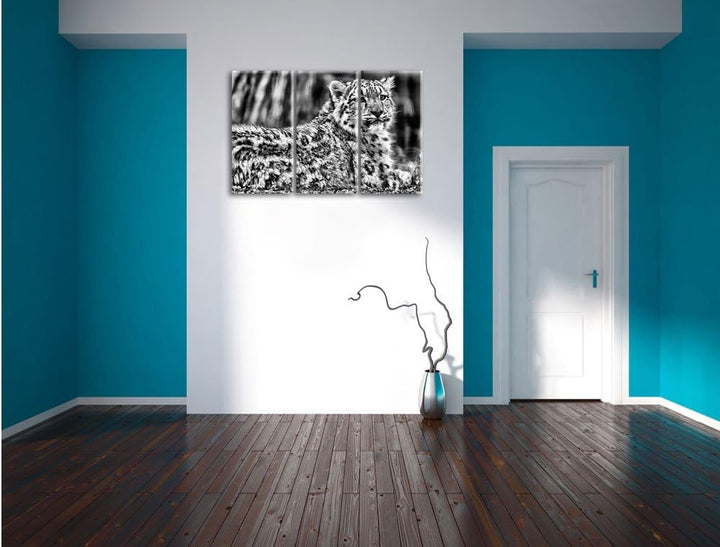 Pixxprint Monocrome, anmutiger Schneeleopard 3-Teiler Leinwandbild 120x80 Bild auf Leinwand