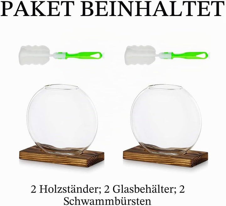 Tischplatte hängen Glas Pflanzer Pcs von 2 Vermehrungsstation Moderne Blumenknospe Vase in Holz Steh