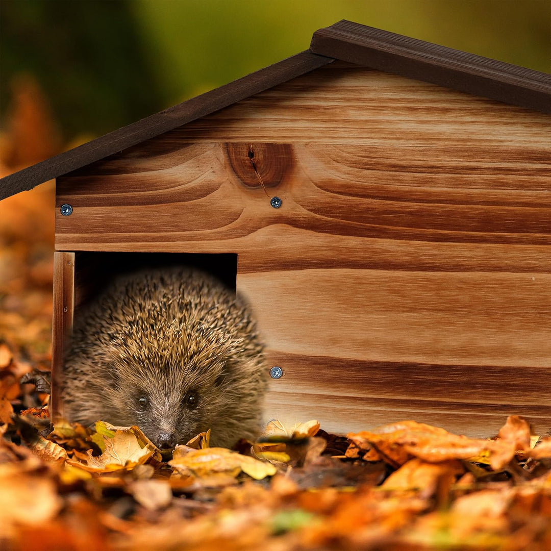 Relaxdays Igelhaus, Holz, Igelhotel mit Boden, 2 Kammern, Winterquartier für Igel, Garten, HBT: 24x4