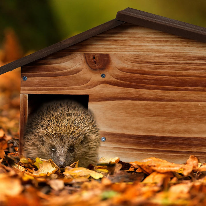 Relaxdays Igelhaus, Holz, Igelhotel mit Boden, 2 Kammern, Winterquartier für Igel, Garten, HBT: 24x4