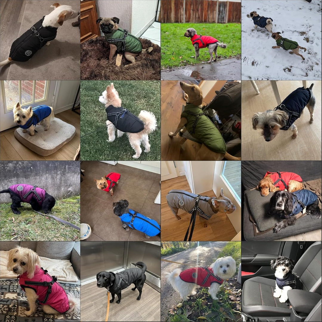 Hundejacke Winterweste Jacken Hundemantel Hundepullover Haustier Skifahren Kostüm Ärmellose Baumwoll