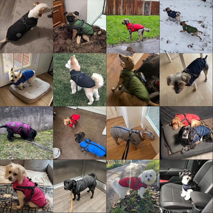 Hundejacke Winterweste Jacken Hundemantel Hundepullover Haustier Skifahren Kostüm Ärmellose Baumwoll