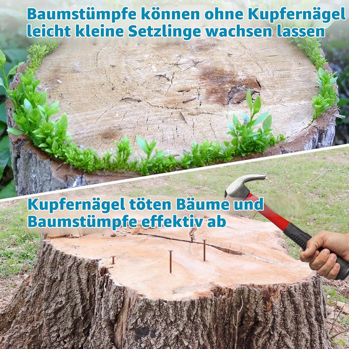 LALAGO 14 stück Grosse Kupfernägel, Kupfernägel Baumkiller, Solid Kupfer Schlagkraft Nägel, 89mm Lan
