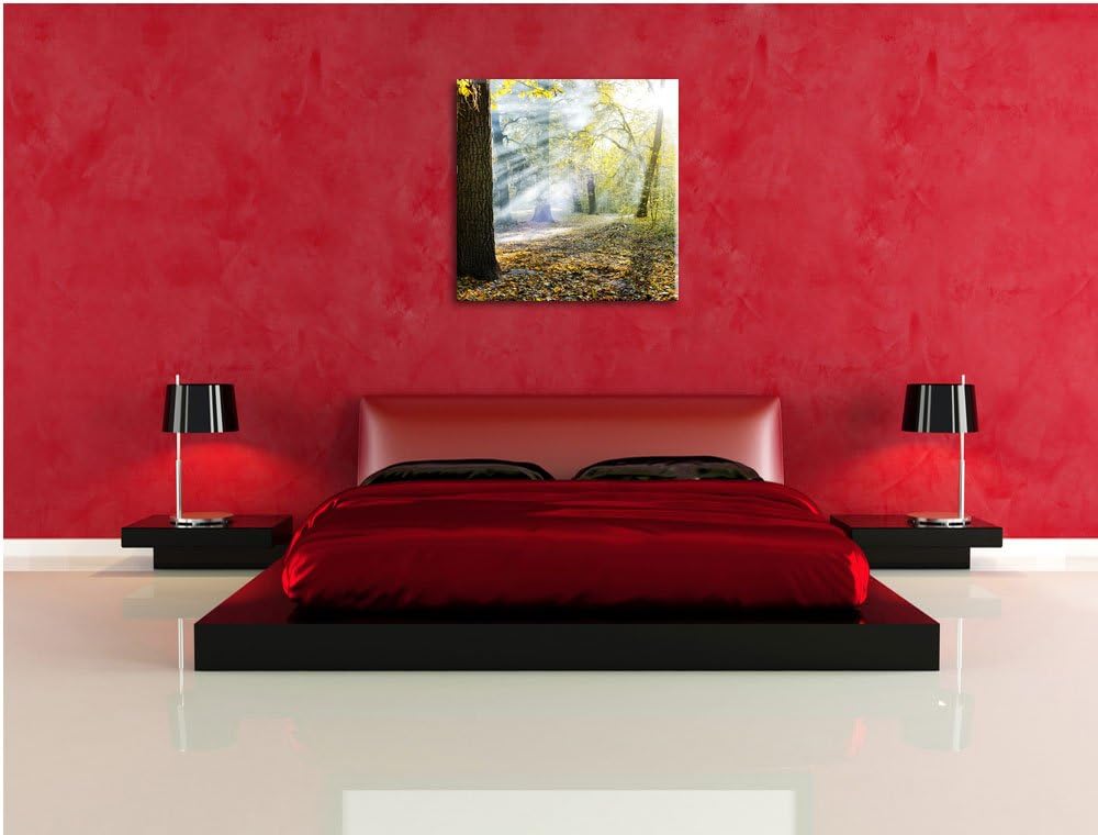 Sonnenstrahlen im Wald, Format: 70x70 auf Leinwand, XXL riesige Bilder fertig gerahmt mit Keilrahmen