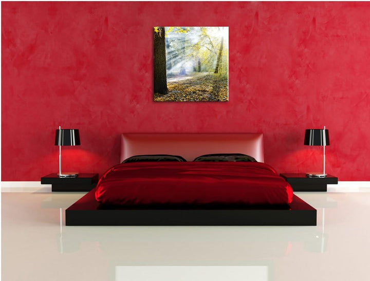 Sonnenstrahlen im Wald, Format: 70x70 auf Leinwand, XXL riesige Bilder fertig gerahmt mit Keilrahmen