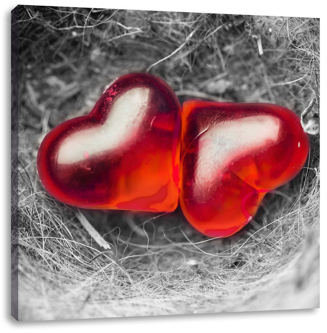 Pixxprint Zwei Herzen in kleinem Nest schwarz/weiss, Format: 70x70 auf Leinwand, 70x70
