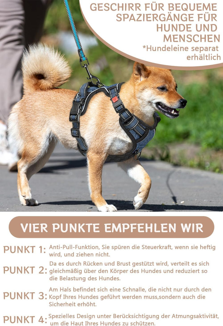 BaoCheng Hundegeschirr Anti Zug Hundegürtel,Kleine/mittlere/grosse Hunde,Atmungsaktives Mesh, Einfac
