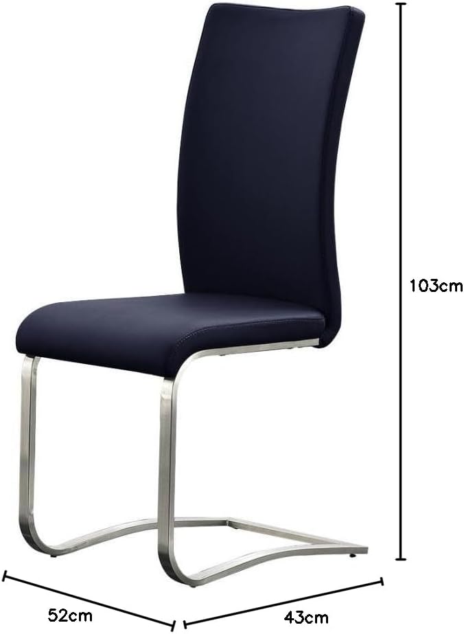 Robas Lund Esszimmerstuhl Leder Blau 2er Set, belastbar bis 130 kg, Schwingstuhl mit Rindsleder, Ges