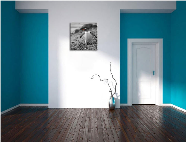 süsser Pinguin am Steinstrand schwarz/weiss, Format: 70x70 auf Leinwand, 70x70