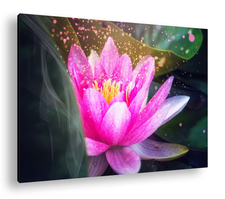 Lotus Seerose Format: 120x80 als Leinwandbild, Motiv fertig gerahmt auf Echtholzrahmen, Hochwertiger