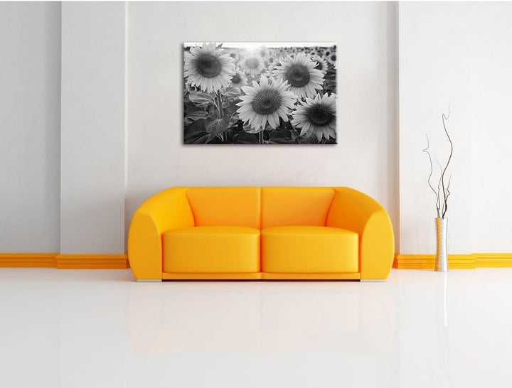 Pixxprint Sonnenblumen auf dem Feld als Leinwandbild | Grösse: 100x70 cm | Wandbild | Kunstdruck | f
