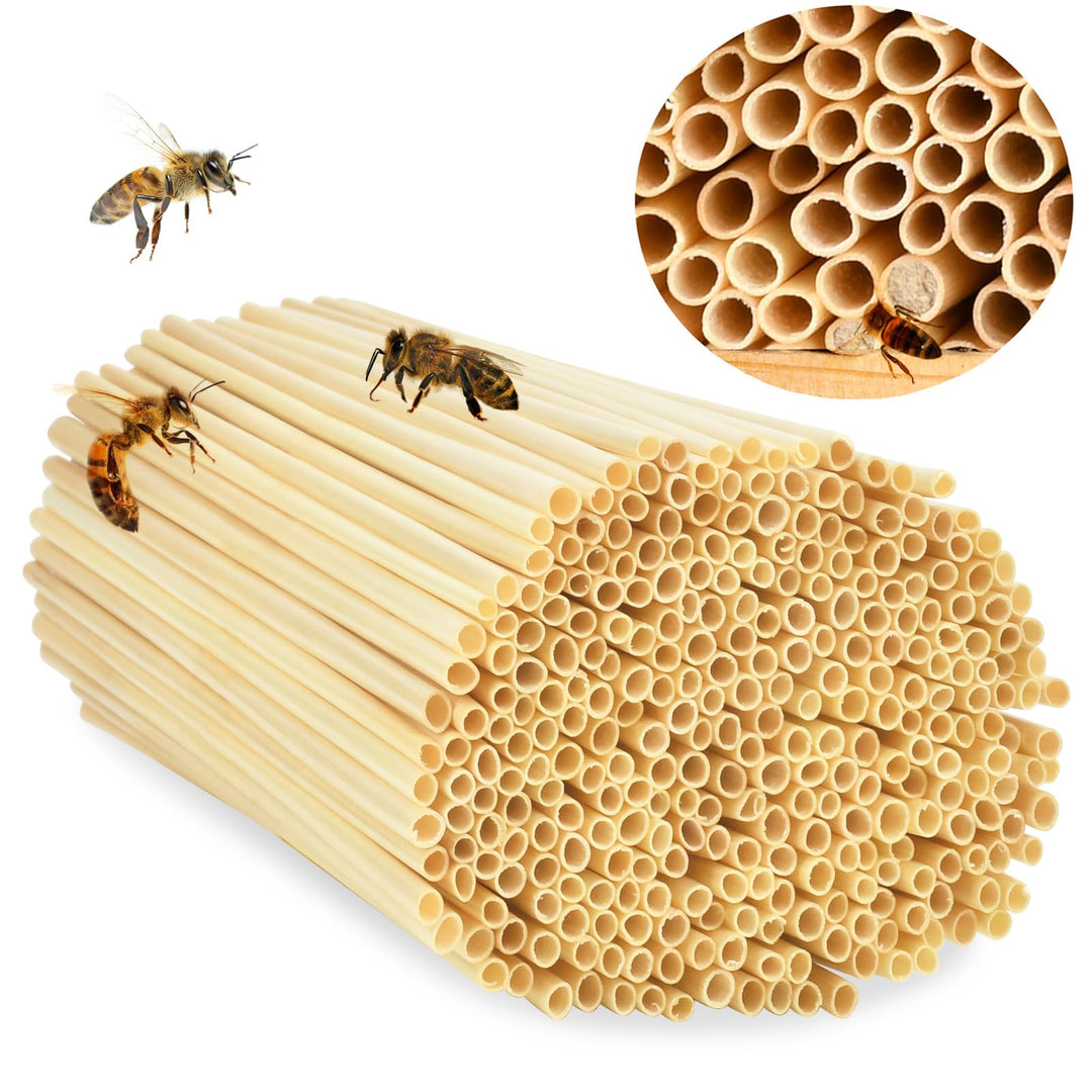 500 STK Nisthülsen für Insektenhotel, 20 cm lang Nisthülsen für Wildbienen, Insektenhotel Füllmateri