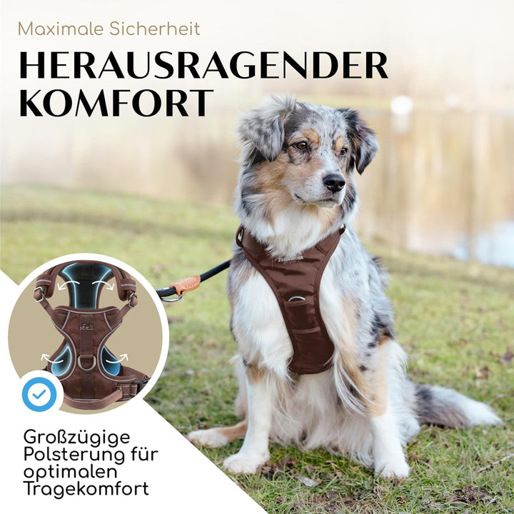 FREUDENTIER Hundegeschirr mit Griff, atmungsaktiv gepolstert - Bombenfester Sitz &amp; maximale Sicherhe