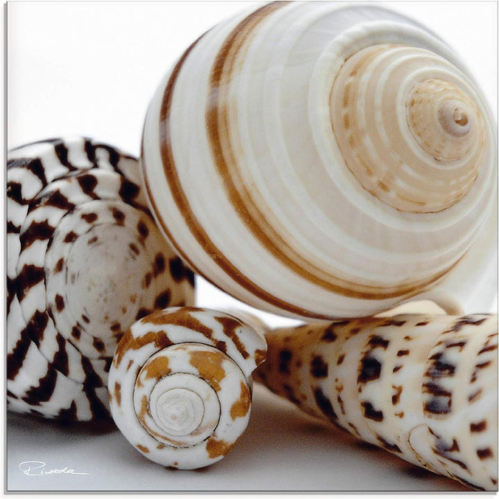 ARTland Glasbilder Wandbild Glas Bild einteilig 40x40 cm Quadratisch Natur Tiere Muscheln Strand Mee