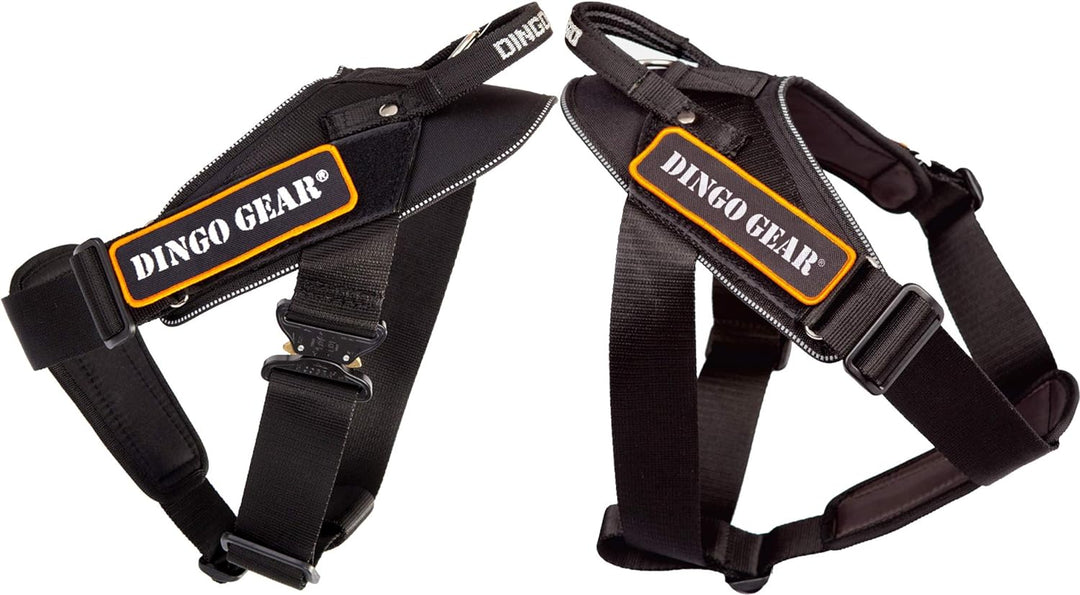 Dingo Gear Geschirr für Hunde in der Arbeit Grosse M,Training K9 IPO Cobra System, handgefertigt Sch