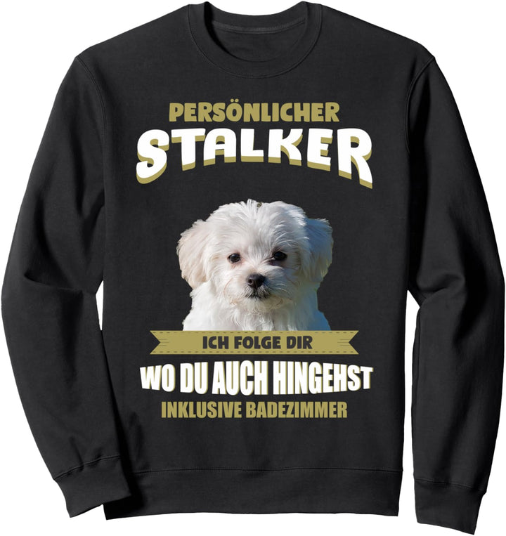Malteser Hund - Malteser Sweatshirt