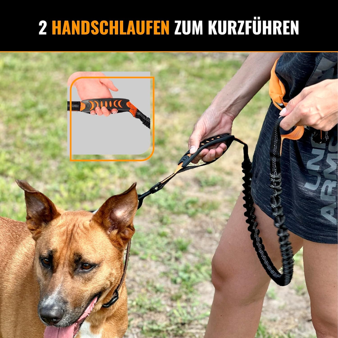 Joggingleine Hunde mit Bauchgurt für Hundeleine für Grosse Hunde/Mittelgrosse Hunde bis 60 kg - Lauf