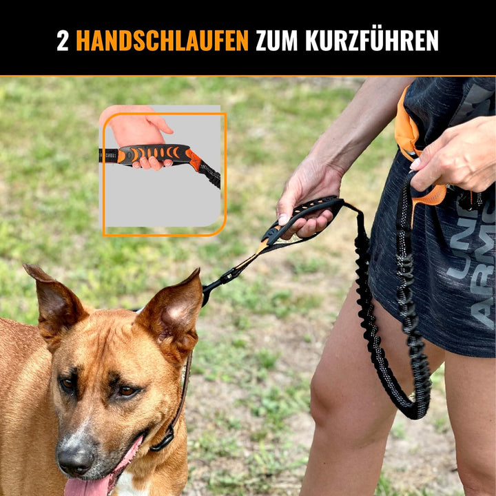 Joggingleine Hunde mit Bauchgurt für Hundeleine für Grosse Hunde/Mittelgrosse Hunde bis 60 kg - Lauf