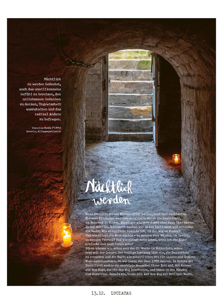 Lichtungen Advent 2025: Adventskalender mit kreativen Ideen, Rezepten, Handlettering, Upcycling-Tipp