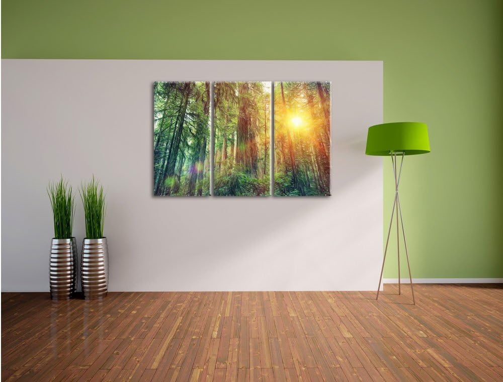 Pixxprint Wald bei Sonnenlicht / 3-Teilig/Gesamtmass 120cm Leinwandbild bespannt auf Holzrahmen/Wand
