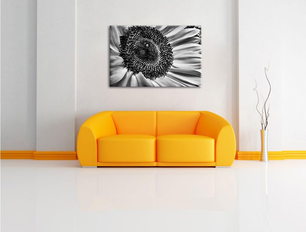 Pixxprint grosse Sonnenblume / 100x70cm Leinwandbild bespannt auf Holzrahmen/Wandbild Kunstdruck Dek