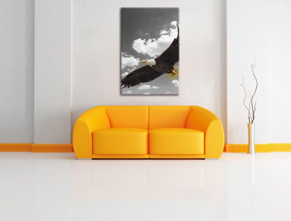 Pixxprint prächtiger Weisskopfseeadler im Flug als Leinwandbild/Grösse: 120x80 cm/Wandbild/Kunstdruc