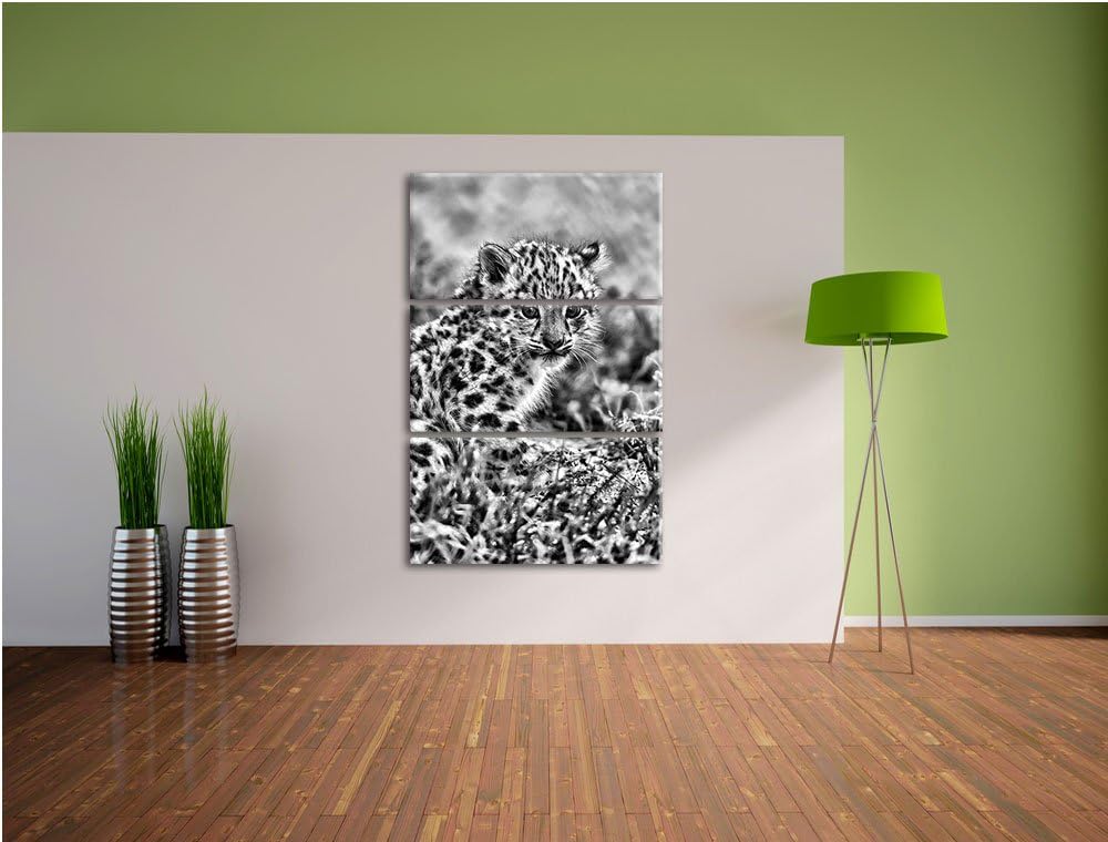 Pixxprint junger Leopard im Gras als Leinwandbild/Grösse: 3 Teilig (120x80) cm/Wandbild/Kunstdruck/f